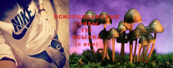 спиды Абдулино